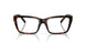 8015 - Tortoise