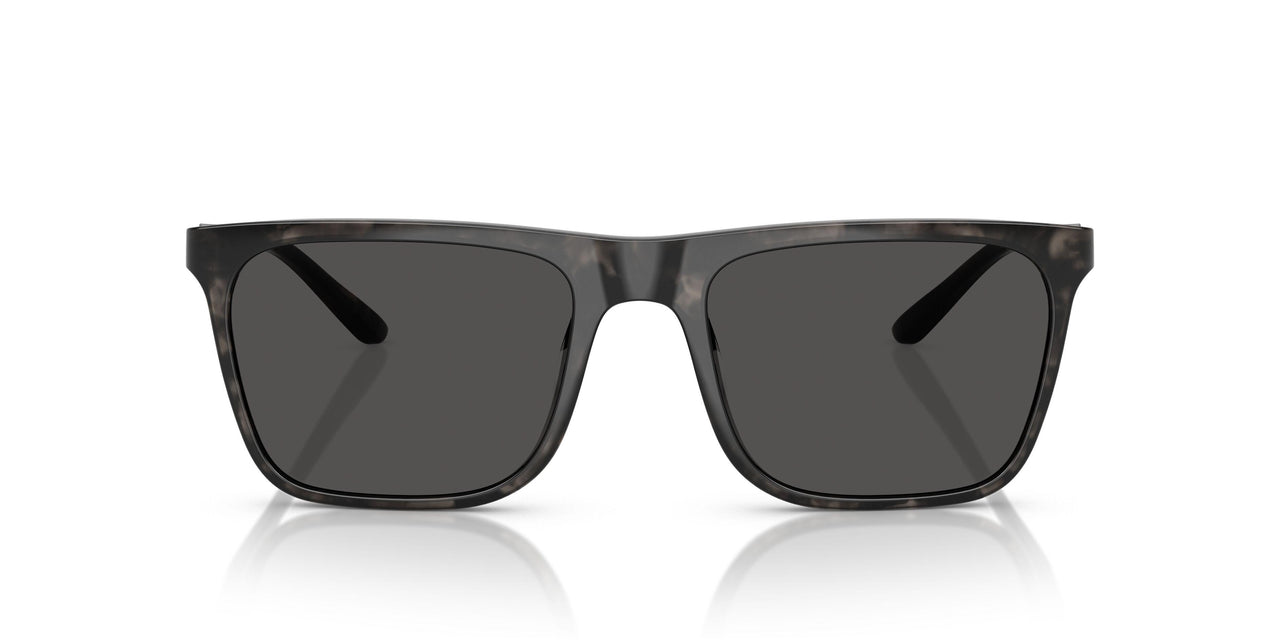 616887 - Tortoise - Dark Grey Solid