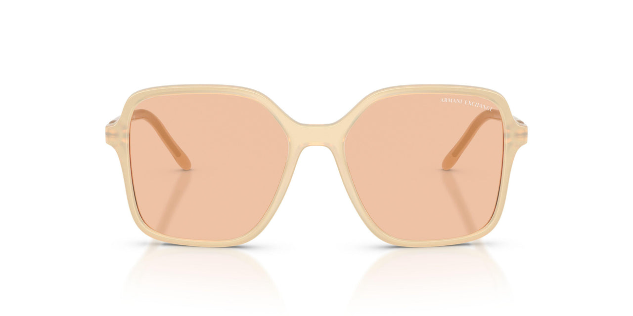 836673 - Brown - Light Brown