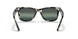 1333G6 - Havana - Polar Clear Gradient Dark Blue