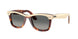 144371 - Brown - Gradient Grey
