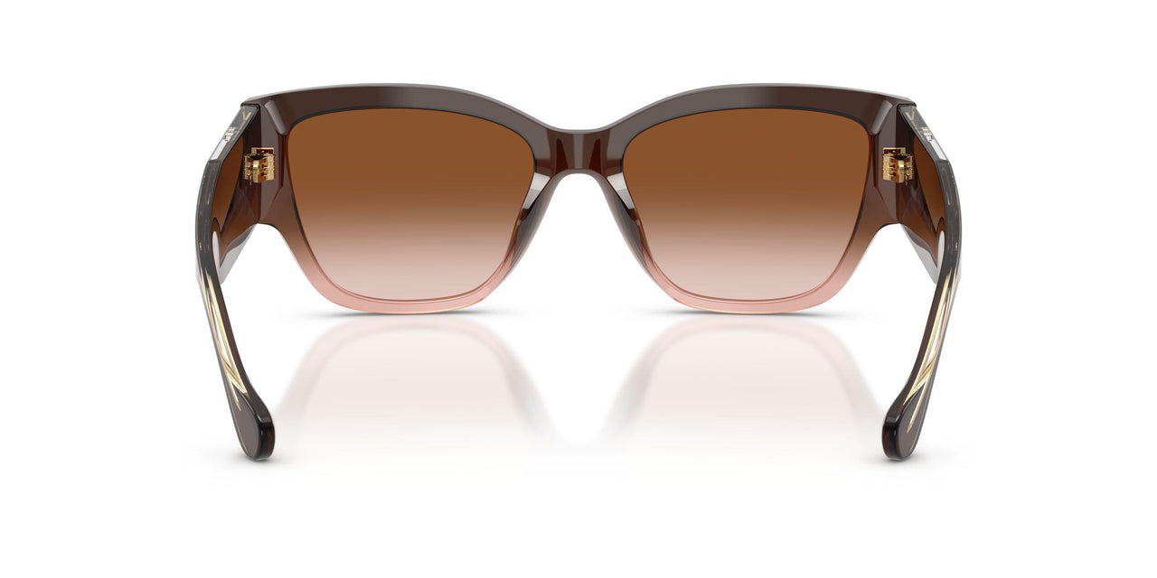 533213 - Brown - Brown Gradient