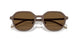 300693 - Copper - Brown