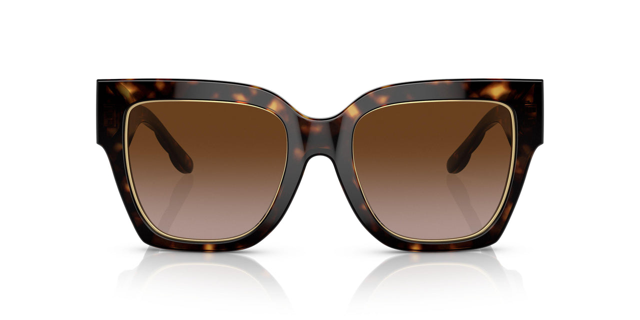 172813 - Havana - Brown Gradient