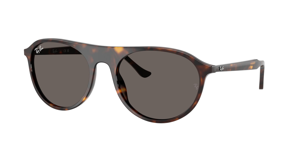 Ray-Ban 2215 Sunglasses