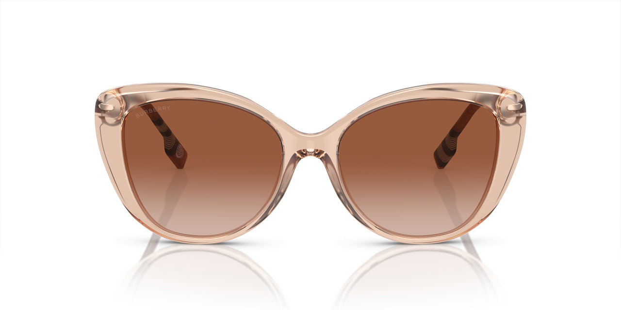 408813 - Pink - Brown Gradient