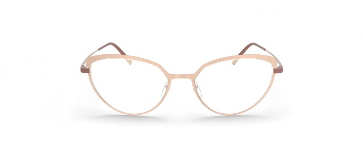 6040 - brown