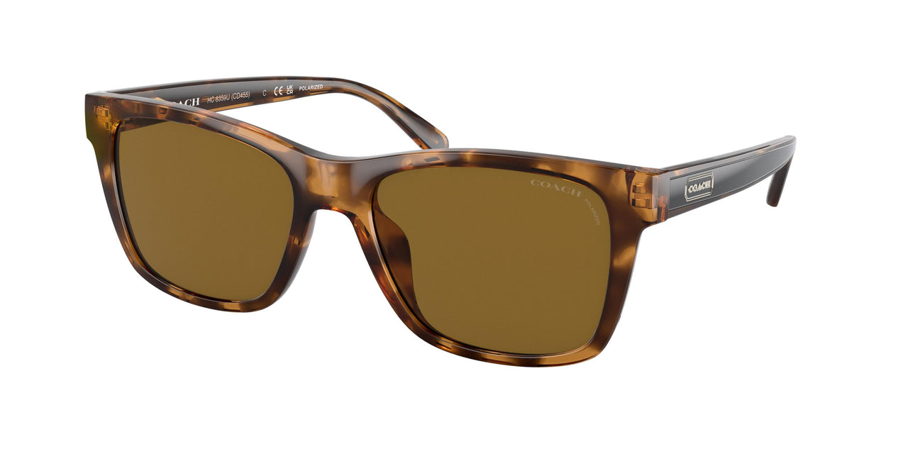512083 - Havana - Dark Brown Polar