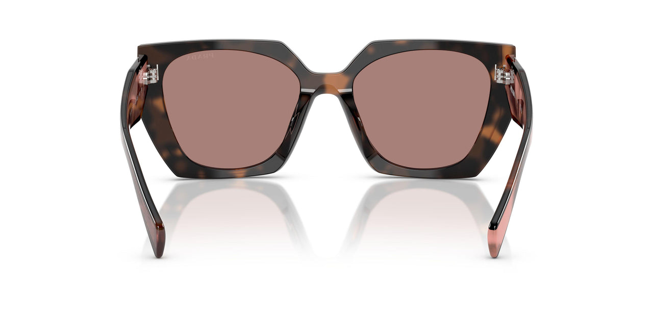 23A60B - Tortoise - Light Brown