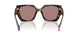 23A60B - Tortoise - Light Brown