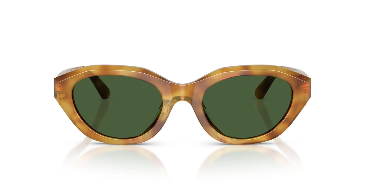618571 - Tortoise - Dark Green