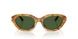 618571 - Tortoise - Dark Green