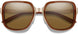 205890ETV55SP - Polarized Brown