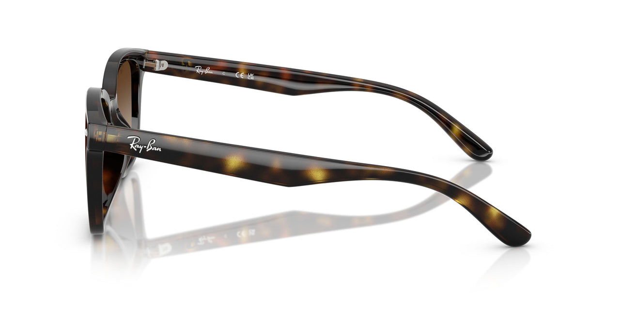 710/13 - Tortoise - Gradient Brown