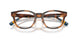 5003 - Tortoise