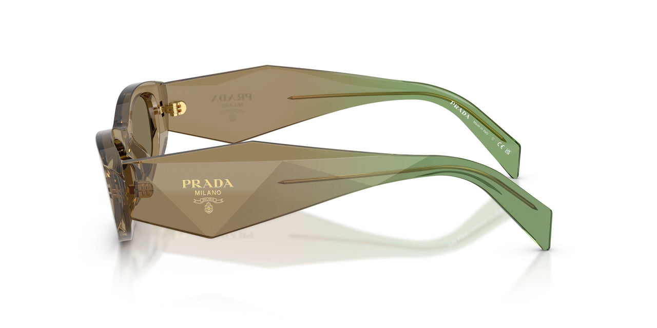 29E90F - Brown - Light Brown