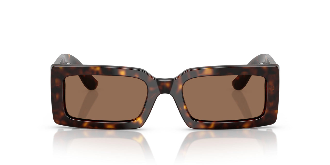 193573 - Tortoise - Dark Brown