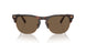 613773 - Tortoise - Brown