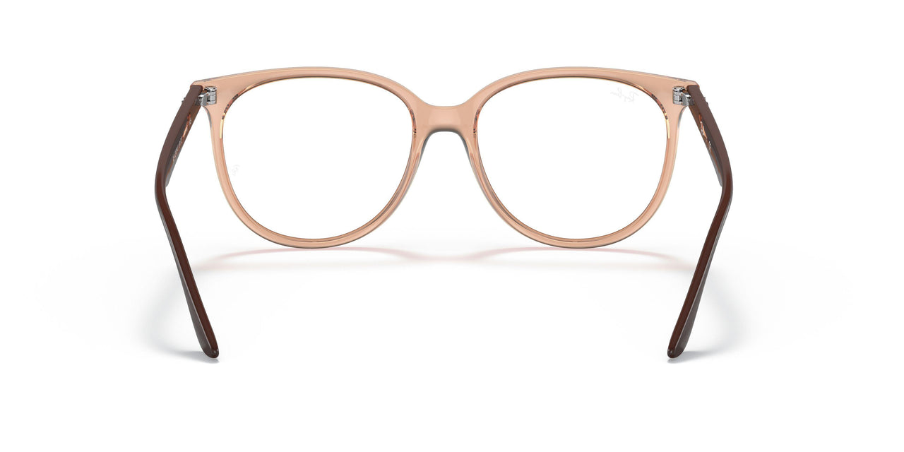 8172 - Brown