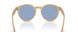 678072 - Brown - Light Blue