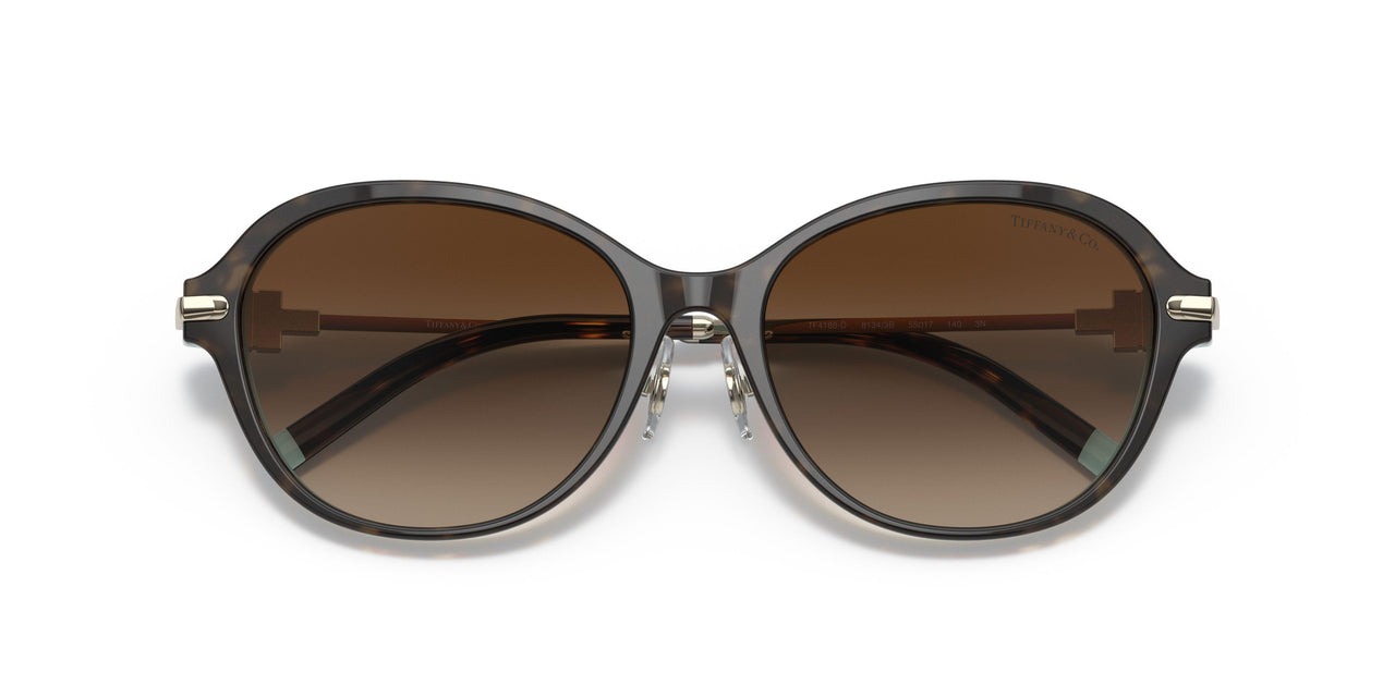 81343B - Havana - Brown Gradient