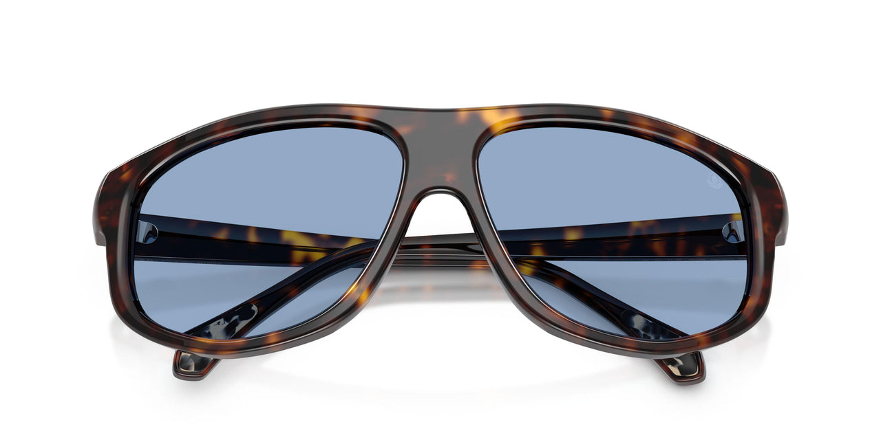 300280 - Tortoise - Solid Blue