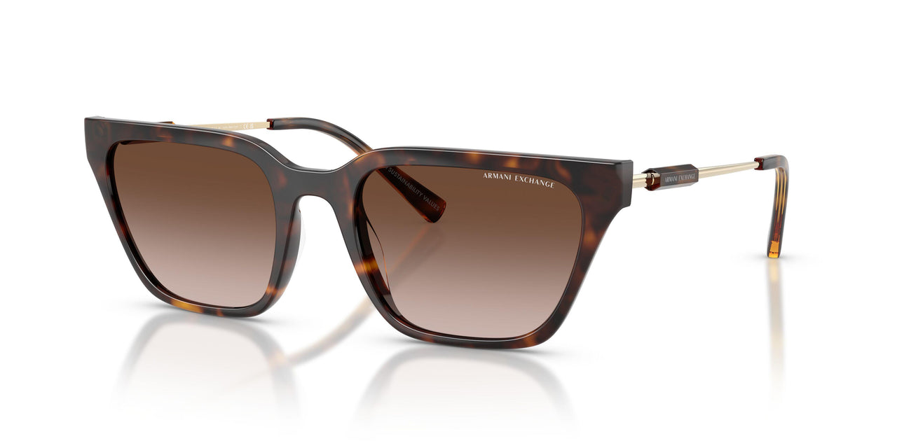 821313 - Tortoise - Gradient Brown