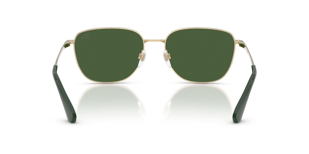110971 - Gold - Dark Green