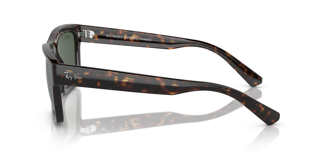 135971 - Tortoise - Dark Blue