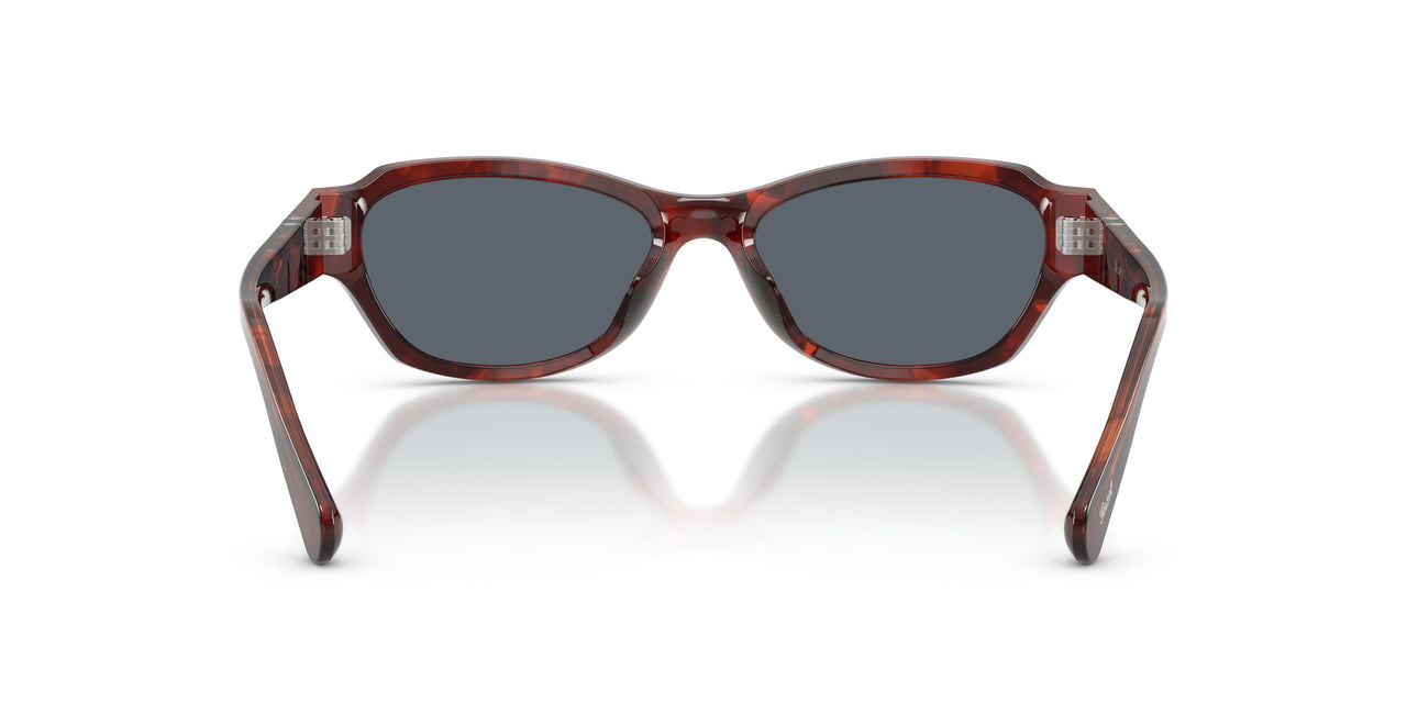 1242R5 - Havana - Blue