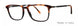 Valdo Nico Eyeglasses