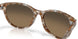 201211 - Tortoise - Copper Gradient
