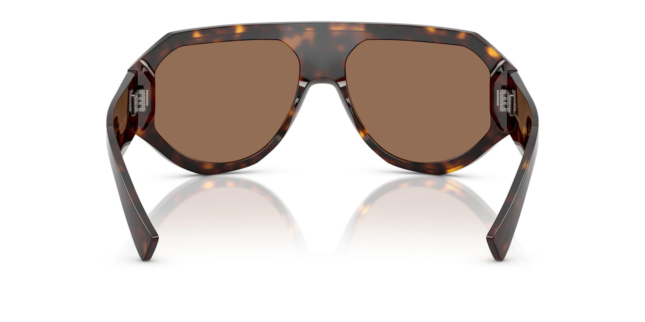 502/73 - Tortoise - Dark Brown