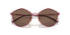 514573 - Violet - Dark Brown