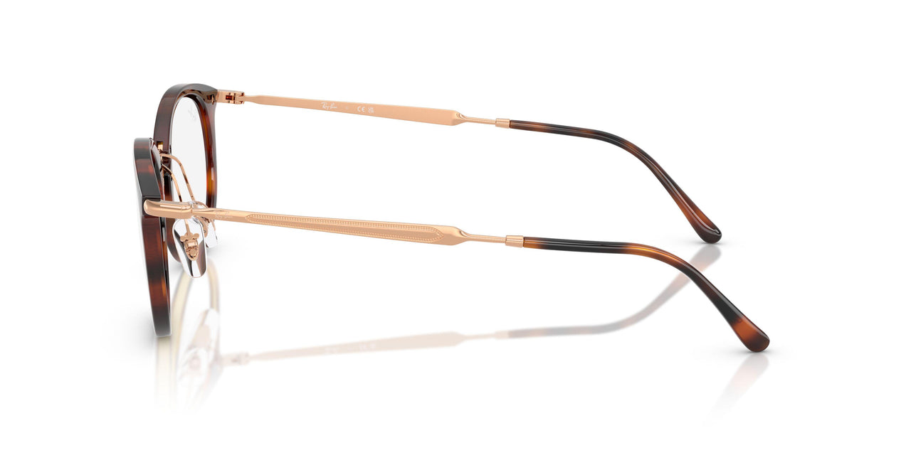 5687 - Brown - Clear