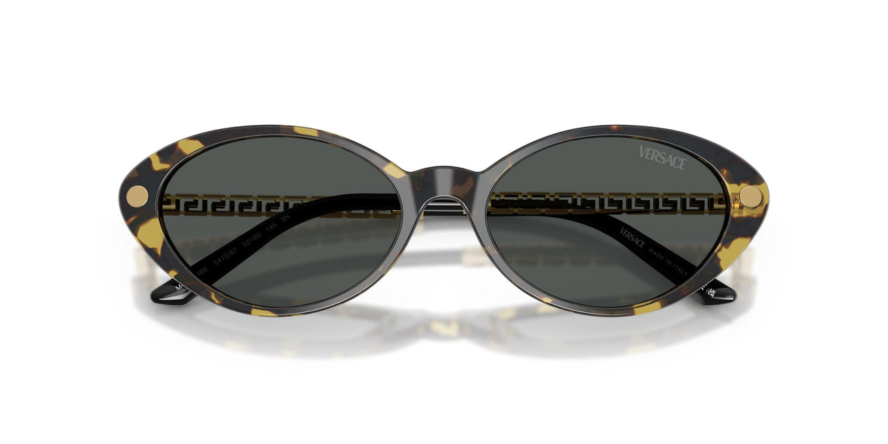 547087 - Tortoise - Dark Grey