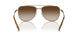100113 - Grey - Brown Gradient