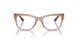 3097 - Brown