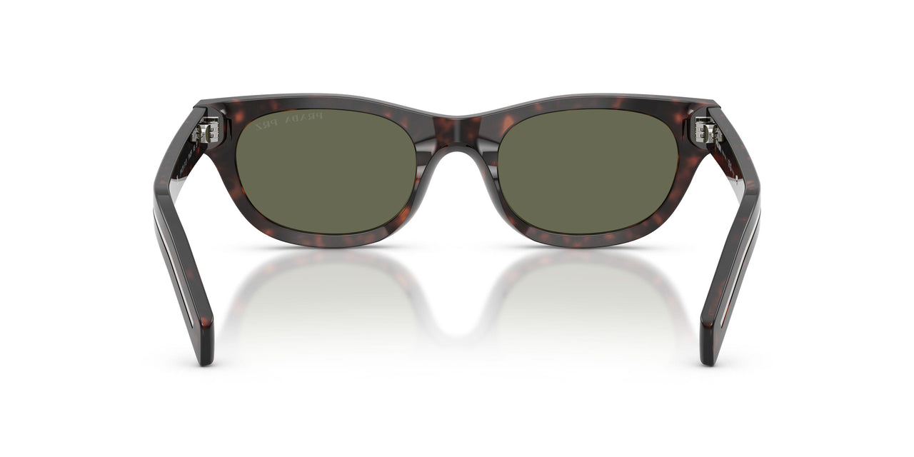 17N03R - Tortoise - Green Polarized