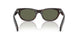 17N03R - Tortoise - Green Polarized