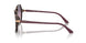 3150U6 - Tortoise - Gradient Brown/violet/blue