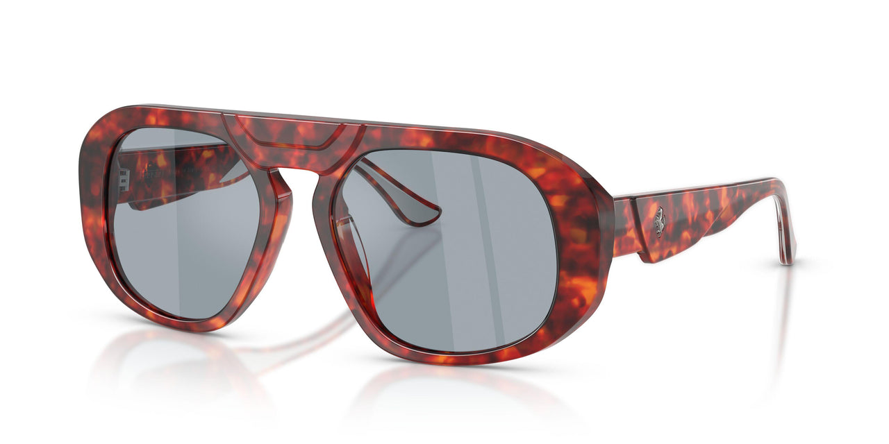 734/S2 - Tortoise - Polar Blue