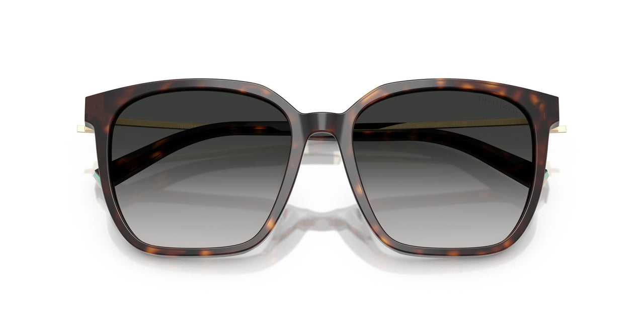 80153C - Tortoise - Grey Gradient