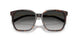 80153C - Tortoise - Grey Gradient