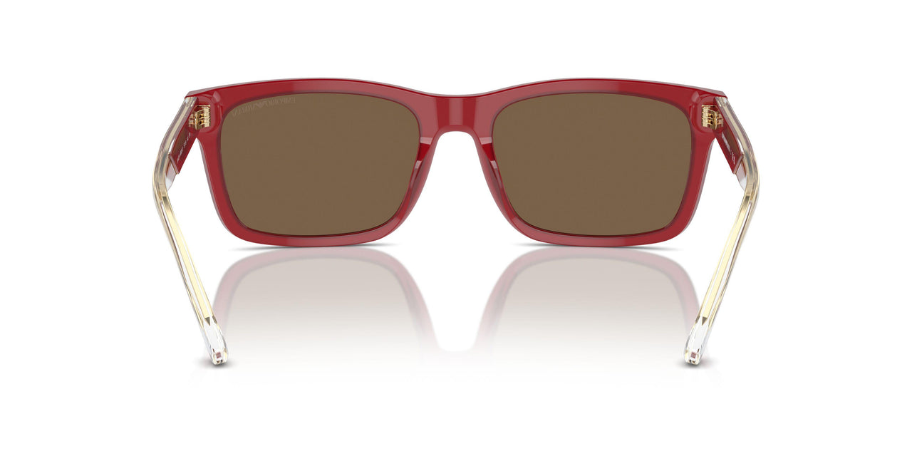 609373 - Red - Dark Brown