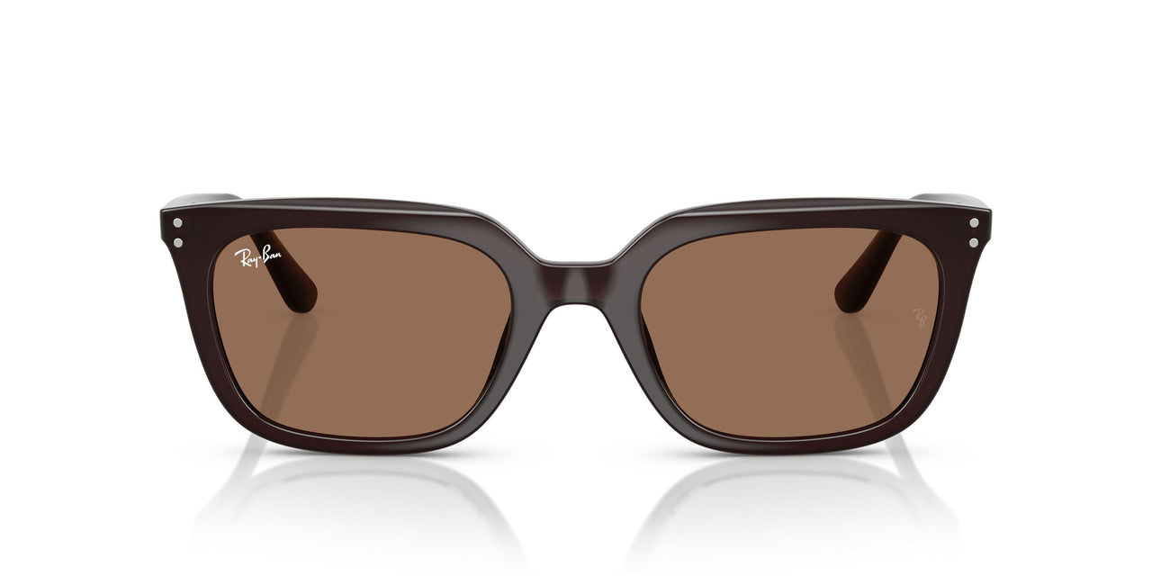 623173 - Brown - Dark Brown