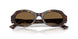 587973 - Tortoise - Brown