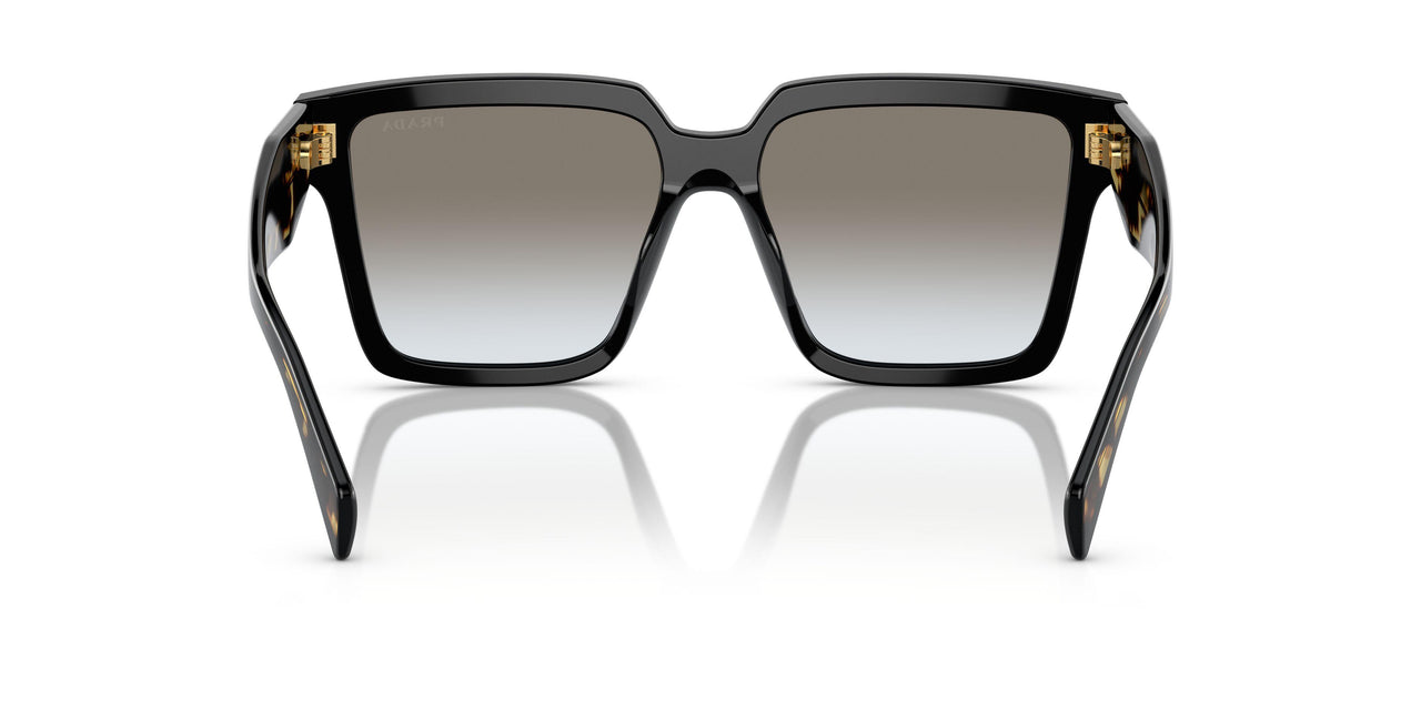1AB0A7 - Black - Grey Gradient
