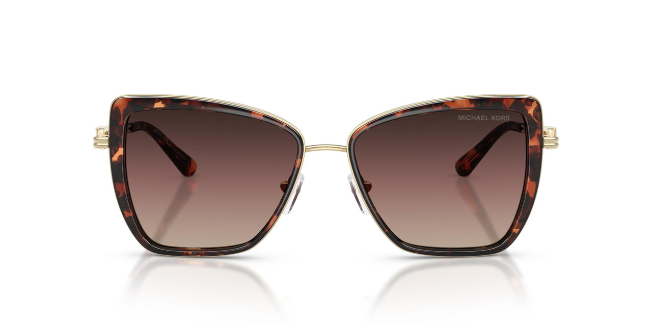 4031E2 - Tortoise - Brown Gradient