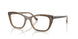 8294 - Brown - Clear